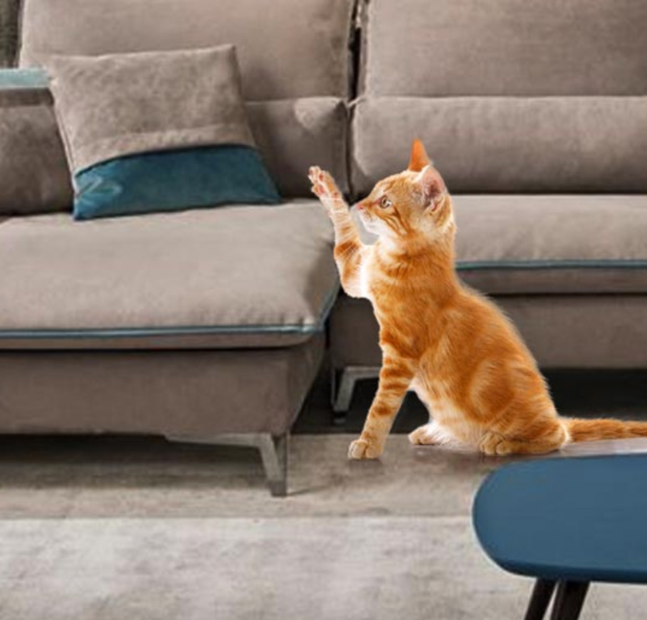 Acquaclean: Tessuto anti-graffio e semplice da pulire per sedie e divani -  Progetto Sedia