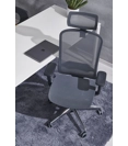 Arizona Rete Ergonomic office chairs Ap Factor 1