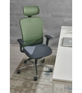 Arizona Ergonomic office chairs Ap Factor 2