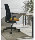 Cayman Ergonomic office chairs Ap Factor 1