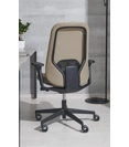 Cayman Ergonomic office chairs Ap Factor 2