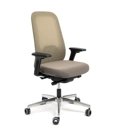 Cayman Ergonomic office chairs Ap Factor 4