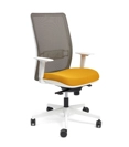Haiti Ergonomic office chairs Ap Factor 5
