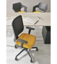 Victoria Ergonomic office chairs Ap Factor 2