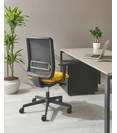 Victoria Ergonomic office chairs Ap Factor 3