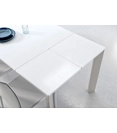 Theorem 120x80 (180) Extendable tables Altacom 4