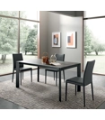 Super Theorem 120x80 (160-200-240) Kitchen tables Altacom 1