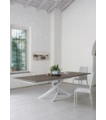 Malik Kitchen chairs Bontempi 1
