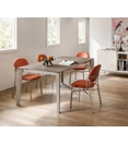 Cross 120x80 (170)