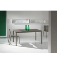 Diesis 120x80 Fisso