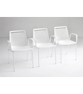 Akami Bracciolo Sedie in plastica di design Gaber 1