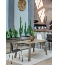 Olly Plastic chairs ingenia 1