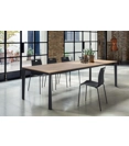 Olly Plastic chairs ingenia 2