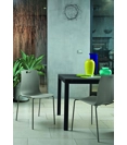 Olly Plastic chairs ingenia 11