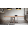 Cave 210x100 Fixed Modern tables Ambiance Italia 5