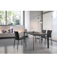 Simba Kitchen chairs Bontempi 4