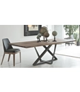Millennium 220x100 Fisso Tavoli fissi Bontempi 1