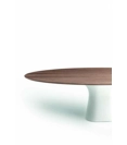 Podium 200x106 Elliptical top Modern tables Bontempi 4