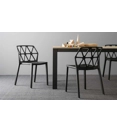 Alchemy CB1056 Plastic chairs Connubia 4