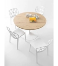 Alchemy CB1056 Plastic chairs Connubia 5