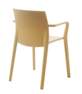 Klia Braccioli (prezzo per sedia in imballo da 2 pz.) Sedie in plastica di design Kastel 11