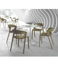 Kicca One Sedia da cucina Kastel 4
