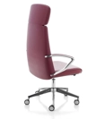 Klivia Alta Executive office chairs Kastel 1