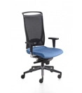 Korium Mesh Ergonomic office chairs Kastel 9