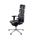 Pyramid Universal - Ergo System Ergonomic office chairs Kulik System 6