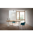 James 170x100 Modern tables La primavera 10