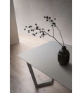 James 170x100 Modern tables La primavera 7
