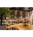Montera S L TS Modern wooden chairs Midj 2