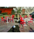 Nene S PP Kitchen chairs Midj 3