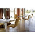 Star S M TS Metal chairs Midj 1