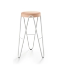 Apelle Jump H75