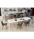 Badù XL 160x90 (210-260-310)