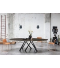Forest 280x120 Oval Modern tables Midj 1