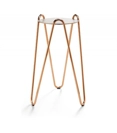 Apelle Chic H63
