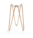 Apelle Chic H73