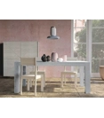 Achaeus 140x90 (200) Kitchen tables Mirandola 2