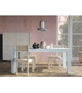 Acheo 160x90 (210-260) Tavolo vintage Mirandola 4