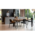 Tata for the Planet Upholstered chairs point 4