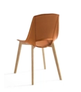 Eva 5 (seduta plastica o cuoio) Sedie in legno moderne Point 3