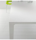 Fusion 140x90 (200) Tavolo di design Point 12