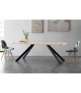 Fancy Steel  200x100 Tavoli in legno Progetto Sedia 2