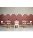 Lisa Technopolymer Plastic chairs Scab 1