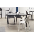 More armrests Plastic chairs Scab 1