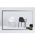More armrests Plastic chairs Scab 3