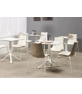 Zebra Bicolore Sedie da cucina Scab 9