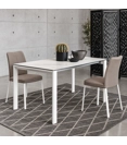 Evolution 125x85 (165-205)